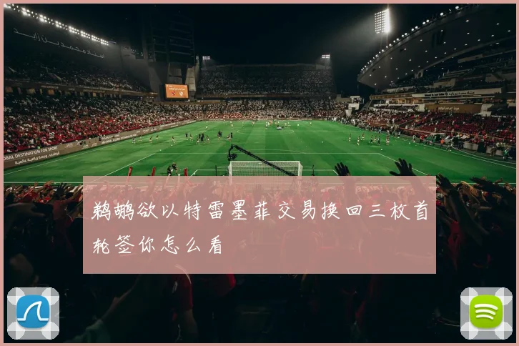鹈鹕欲以特雷墨菲交易换回三枚首轮签你怎么看